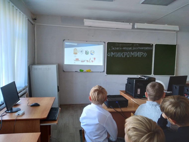 Эколята.